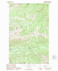 Bearpaw Mountain 1989 topographic map thumbnail