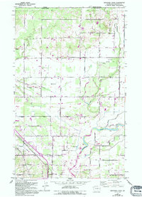 Bertrand Creek 1952 topographic map thumbnail