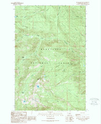 Big Jim Mountain 1989 topographic map thumbnail
