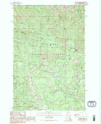 Blewett Pass 1989 topographic map thumbnail
