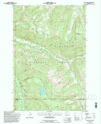 Blue Lake 1994 topographic map thumbnail