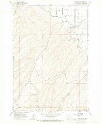 Bluelight NW 1965 topographic map thumbnail