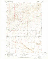 Bluelight 1965 topographic map preview