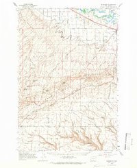 Bluelight 1965 topographic map thumbnail