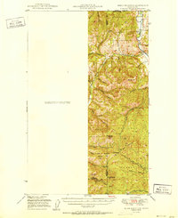 Bodie Mountain 1951 topographic map preview