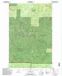 Boyer Mtn 1992 topographic map thumbnail