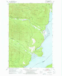 Brinnon 1953 topographic map thumbnail