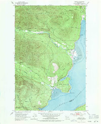 Brinnon 1953 topographic map thumbnail