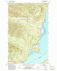 Brinnon 1953 topographic map thumbnail