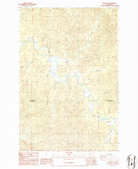 Brooklyn 1986 topographic map thumbnail