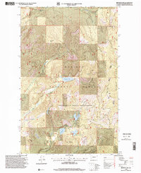 Browns Lake 1996 topographic map thumbnail