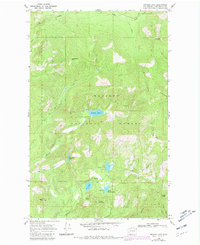 Browns Lake 1968 topographic map thumbnail