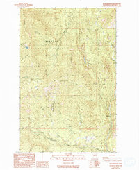 Buck Mountain 1989 topographic map thumbnail