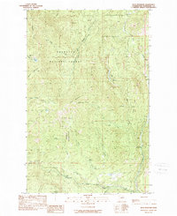 Buck Mountain 1989 topographic map thumbnail