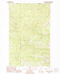 Buckhorn Mountain 1988 topographic map thumbnail