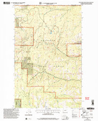 Buckhorn Mountain 2001 topographic map thumbnail