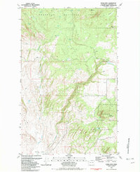 Burge Mtn topographic map thumbnail