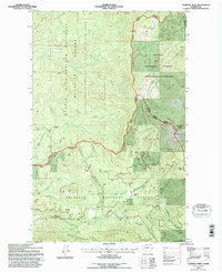 Calispell Peak 1992 topographic map thumbnail