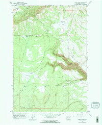 Camas Patch 1965 topographic map thumbnail