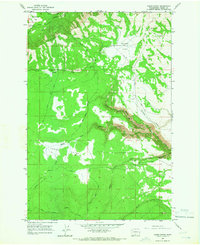 Camas Patch 1965 topographic map thumbnail