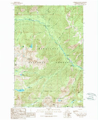 Cashmere Mountain 1989 topographic map thumbnail