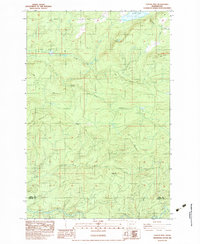Coyote Mtn topographic map thumbnail