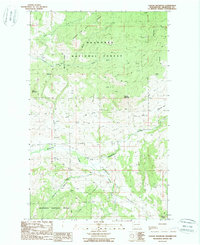 Cayuse Mountain 1988 topographic map thumbnail