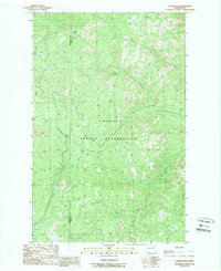 Central Peak 1989 topographic map preview