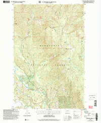 Chikamin Creek 2004 topographic map thumbnail