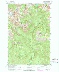 Chinook Pass 1971 topographic map thumbnail