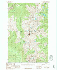 Chiwaukum Mountains 1989 topographic map thumbnail