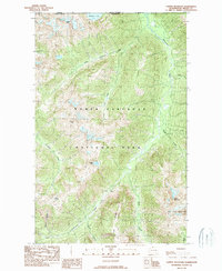 Copper Mountain 1989 topographic map preview