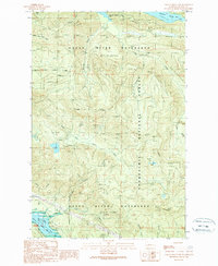 Cougar Mountain 1989 topographic map thumbnail
