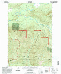 Cowlitz Falls 1994 topographic map thumbnail