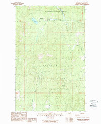 Crawfish Lake 1989 topographic map thumbnail