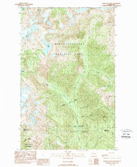 Damnation Peak 1989 topographic map thumbnail