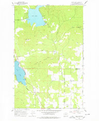Deer Lake 1965 topographic map thumbnail