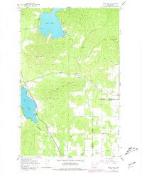 Deer Lake 1965 topographic map thumbnail
