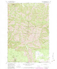Diamond Peak 1967 topographic map thumbnail