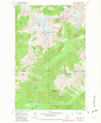 Downey Mtn 1963 topographic map thumbnail
