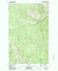 Duncan Ridge 1981 topographic map thumbnail