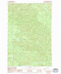 East of Raymond 1994 topographic map thumbnail