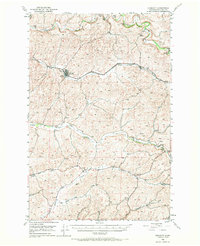 Endicott 1950 topographic map thumbnail