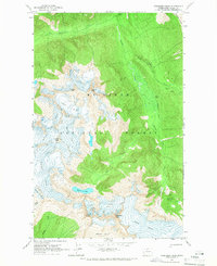 Forbidden Peak 1963 topographic map thumbnail