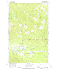 Fortson 1966 topographic map preview