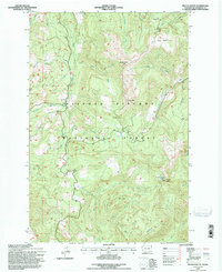 French Butte 1994 topographic map thumbnail