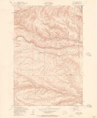 Ginkgo 1953 topographic map thumbnail