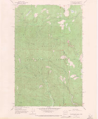 Gleason Mtn topographic map thumbnail