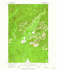 Grisdale 1955 topographic map thumbnail