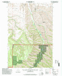 Hopkins Ridge 1995 topographic map thumbnail